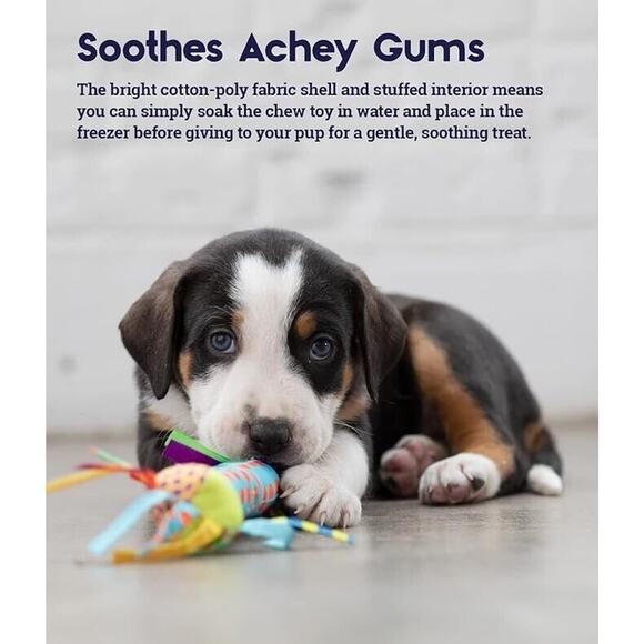 Petstages Safe Dental Aid Soothing Chew Toy Cool Teething Relief Stick for Dogs - Picture 5 of 10